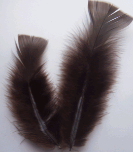 Brown Turkey Flat Craft Feathers - Mini Pkg