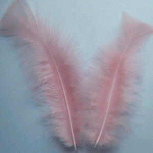 Candy Pink Turkey Flat Feathers - 1/4 lb
