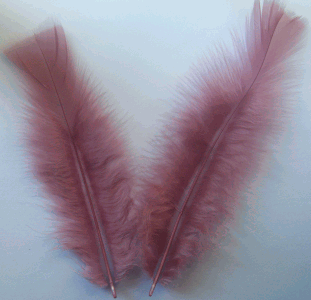 Dusty Rose Turkey Flat Feathers - 1/4 lb ONLY 1 LEFT