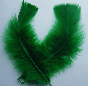 Green Turkey Flat Craft Feathers - Mini Pkg