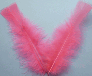 Hot Pink Turkey Flat Craft Feathers - Mini Pkg