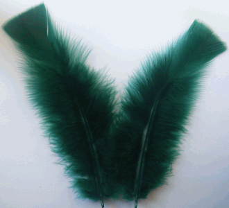 Hunter Green Turkey Flat Craft Feathers - Mini Pkg