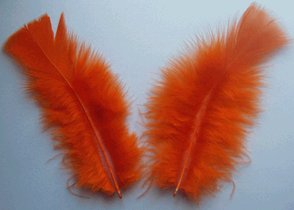 Orange Turkey Flat Feathers - 1/4 lb