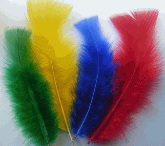 Primary Mix Turkey Flat Craft Feathers - Mini Pkg