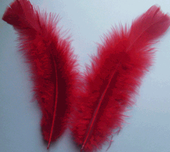 Red Turkey Flat Craft Feathers - Mini Pkg