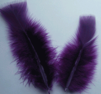 Regal Turkey Flat Craft Feathers - Mini Pkg
