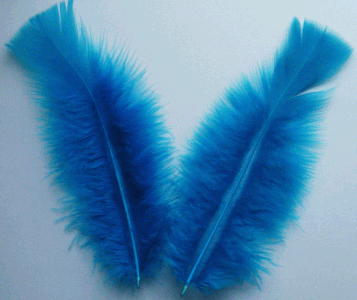 Turquoise Turkey Flat Feathers - 1/4 lb