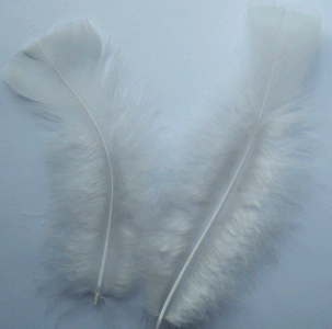 White Turkey Flat Craft Feathers - Mini Pkg