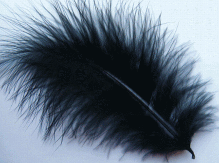 Black Large Turkey Marabou Craft Feathers - Mini Pkg