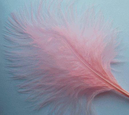 Candy Pink Large Turkey Marabou Craft Feathers - Mini Pkg