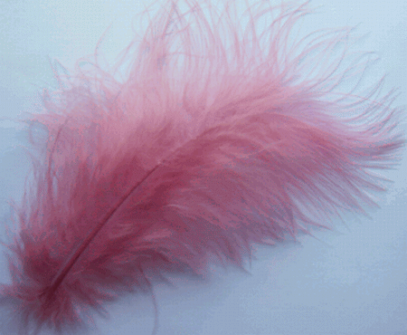 Large Dusty Rose Turkey Marabou Feathers - Mini Pkg