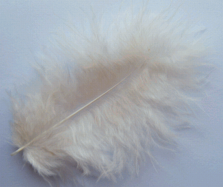 Eggshell Large Turkey Marabou Feathers - 1/4 lb