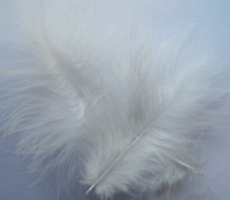 White Large Turkey Marabou Feathers - 1/4 lb