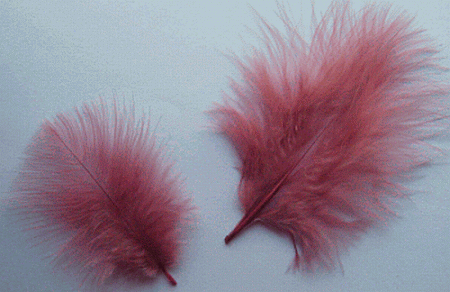 Bulk Rose Marabou Turkey Feathers - 1-3 inch Mini Feather Size - 1/4 lb pkg