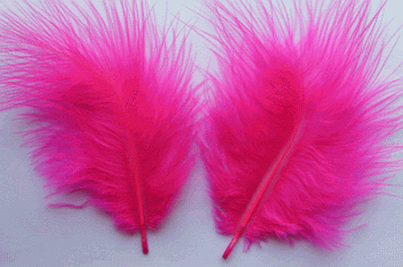 Bulk Fuchsia Marabou Turkey Feathers - 1-3 inch Mini Feather Size - 1/4 lb pkg