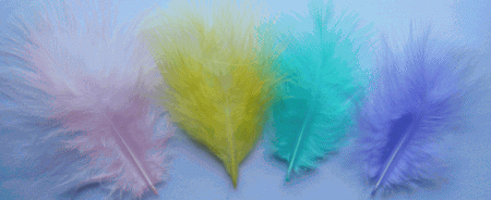 Pastel Mix Mini Turkey Marabou Feathers - Bulk lb