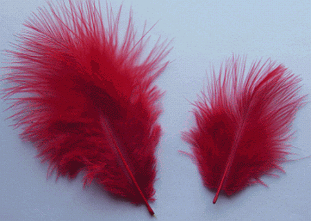Bulk Red Marabou Turkey Feathers - 1-3 inch Mini Feather Size - 1/4 lb pkg