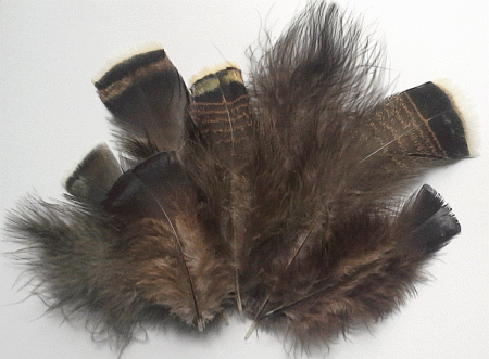 Natural Mix Turkey Plumage Feathers - 1/4 lb OUT OF STOCK