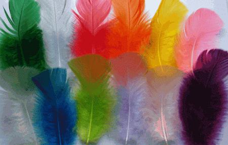 Assorted Mix Turkey Plumage Craft Feathers - Mini Pkg