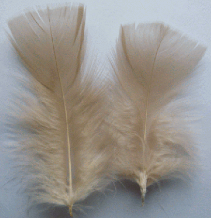 Beige Turkey Plumage Craft Feathers - Mini Pkg