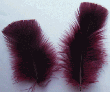 Burgundy Turkey Plumage Feathers - 1/4 lb