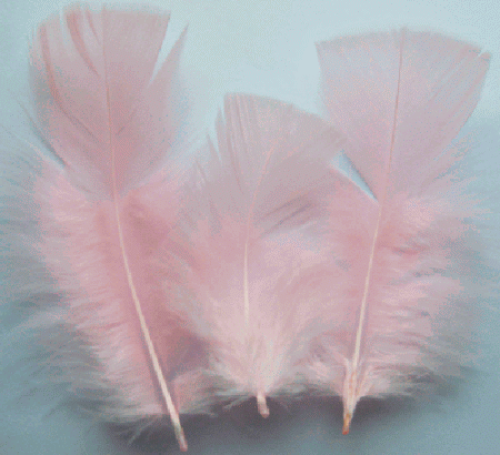 Candy Pink Turkey Plumage Feathers - 1/4 lb