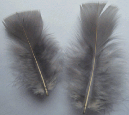 Grey Turkey Plumage Craft Feathers - Mini Pkg