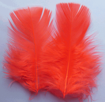 Hot Orange Turkey Plumage Feathers - 1/4 lb