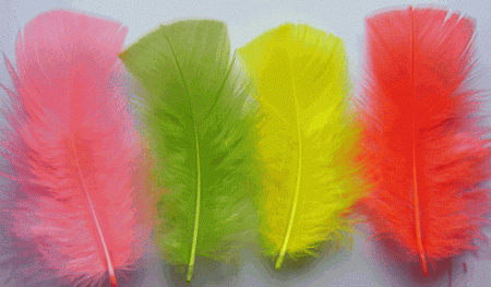 Neon Mix Turkey Plumage Feathers - Bulk lb