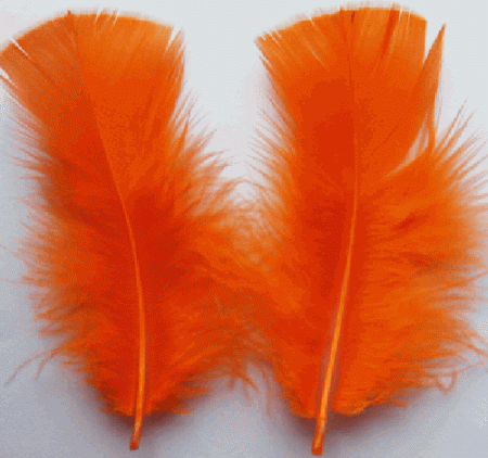 Orange Turkey Plumage Feathers - Mini Pkg