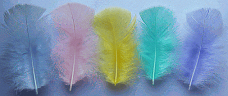 Pastel Mix Turkey Plumage Craft Feathers - Mini Pkg