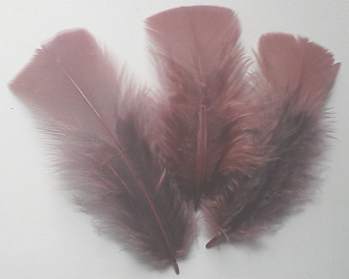 Plum Turkey Plumage Craft Feathers - Mini Pkg