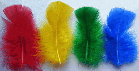 Primary Mix Turkey Plumage Craft Feathers - Mini Pkg