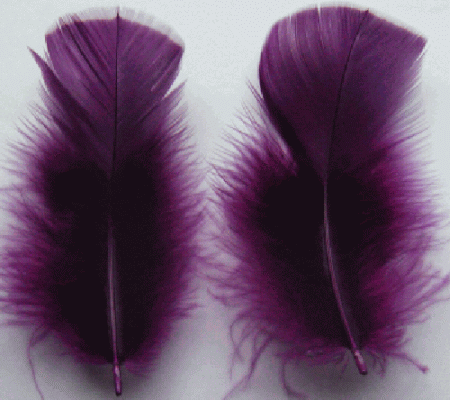 Purple Turkey Plumage Feathers - Mini Pkg