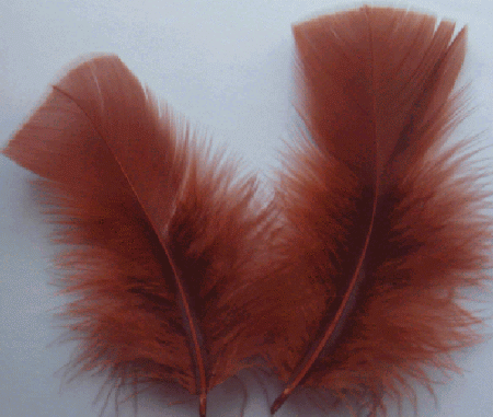 Rust Turkey Plumage Feathers - 1/4 lb