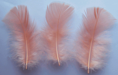 Shrimp Turkey Plumage Craft Feathers - Mini Pkg