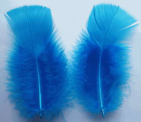Turquoise Turkey Plumage Craft Feathers - Mini Pkg