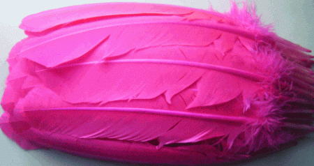 Hot Pink Turkey Feather Quills - Dozen Left