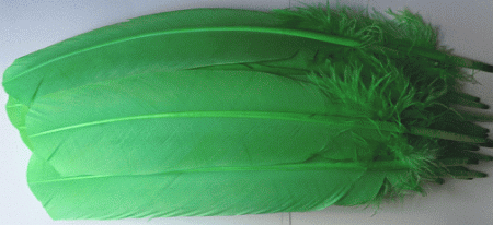 Lime Turkey Quill Feathers - Bulk lb Left OUT OF STOCK