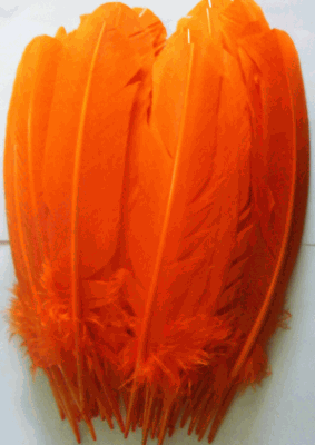 Orange Turkey Quill Feathers - Bulk Mixed lb