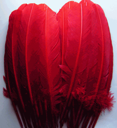 Red Turkey Quill Feathers - Mixed lb