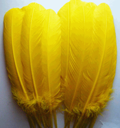 Yellow Turkey Quill Feathers - Bulk Mixed lb