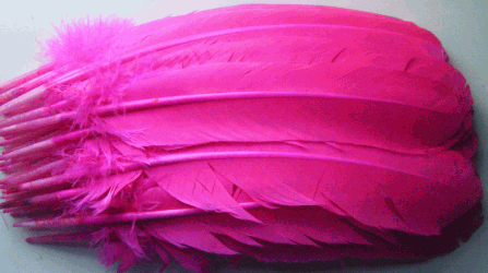 Hot Pink Turkey Feather Quills - Dozen Right