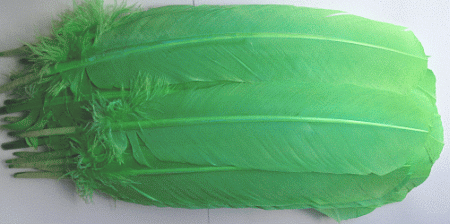 Lime Turkey Quill Feathers - Bulk lb Right OUT OF STOCK