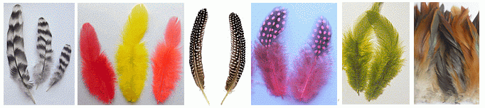 Bulk Rooster Feathers
