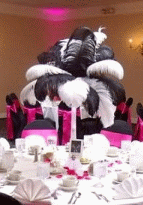 Black & White Ostrich Centerpieces by Janice