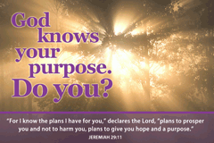 God Knows Your Purpose Poster - Large