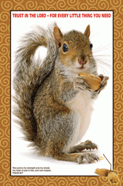 Trust in the Lord Squirrel Poster - Large