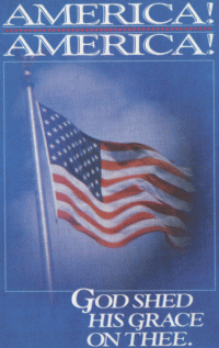 American Flag Mini Posters