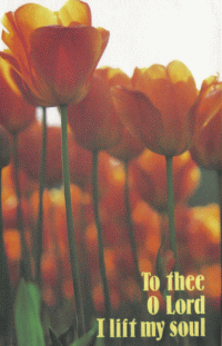Unto Thee O Lord Tulip Poster